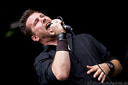 The New Black - Schloss Holte, Serengeti Festival, 27.06.2009