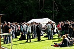 Rock im Wald