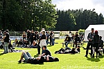 Rock im Wald