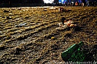 The End - Wacken 2011