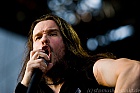 Dan Nelson