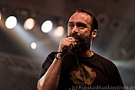 Neil Fallon