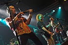 The Levellers