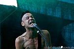 Mantar