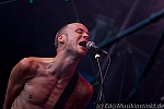Mantar