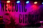 Neurotic Circuit