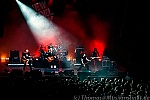 New Model Army