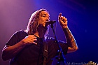 Rich Ward